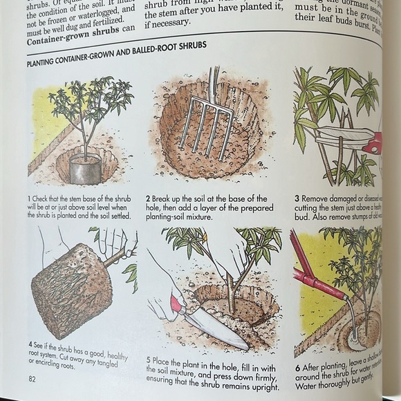 The Practical Gardener, Reader's Digest - Picture 5 of 16